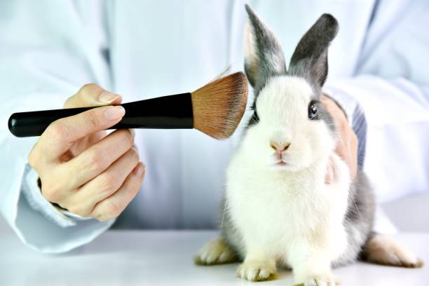 Ethical cosmetics brands in the UK supporting animal welfare